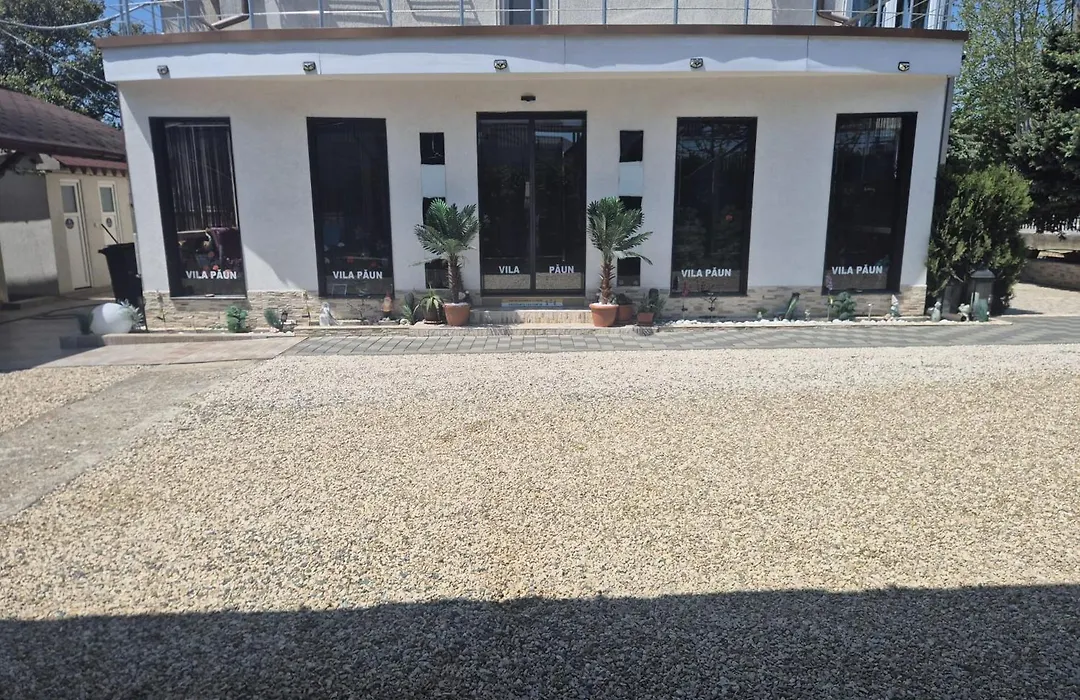 Vila Paun-1