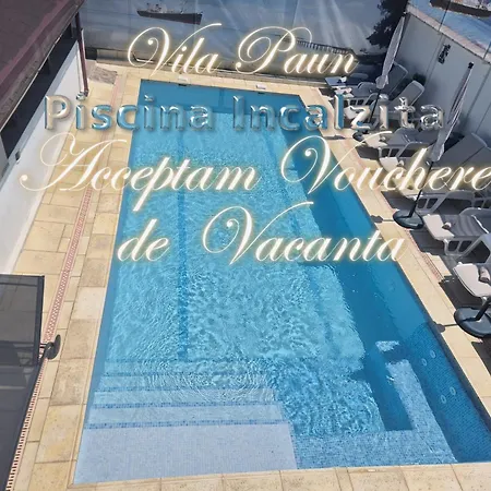 Vila Paun-3